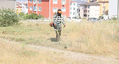 Boş arazilerdeki otlar biçiliyor