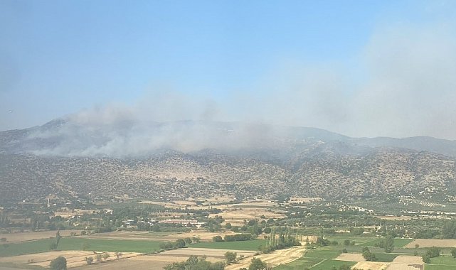 Bozdoğan'da makilik yangını