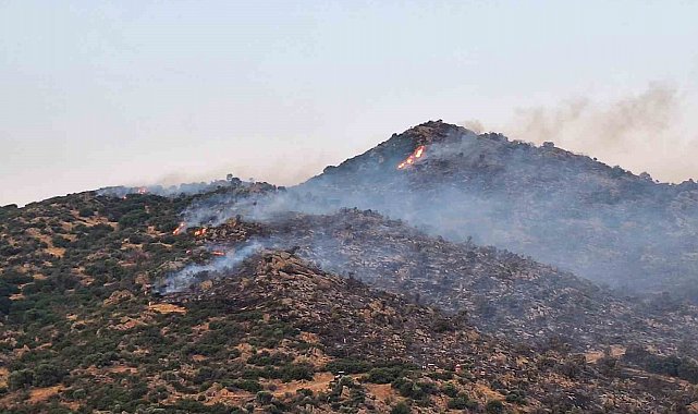 Bozdoğan'da makilik yangınına yoğun müdahale