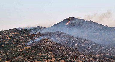 Bozdoğan'da makilik yangınına yoğun müdahale