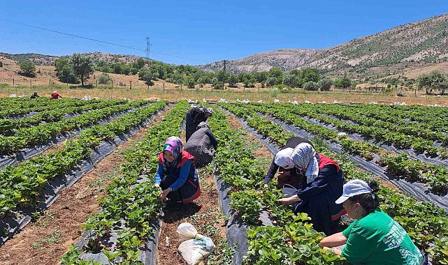 Bozkır'da kadın çiftçilere yönelik eğitim ve destek ziyaretleri