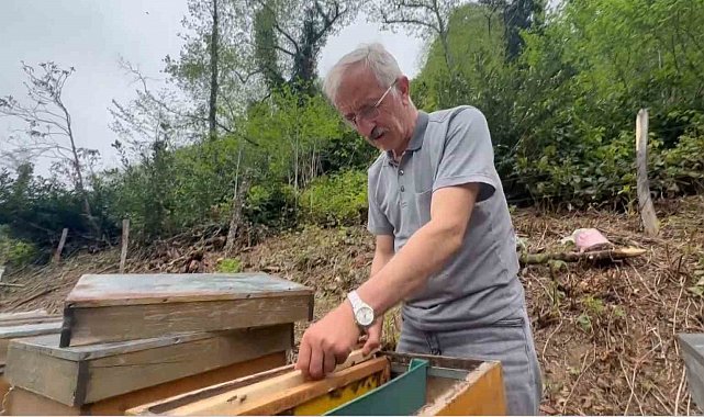 Bu balın azı şifa, fazlası tehlike