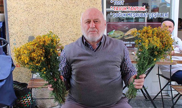 Bu çiçek hediye için değil sağlık için alınıyor