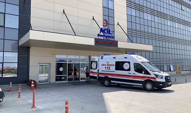 Burdur'da üzerine kurban devrilen kadın ağır yaralandı