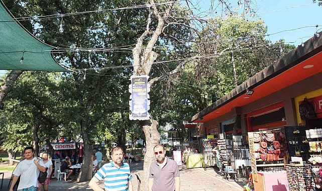 Burhaniye' de kuruyan ağaçlar tehlike saçıyor