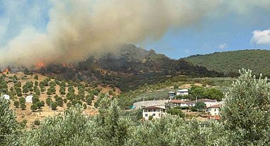 Bursa İznik'te büyük orman yangını