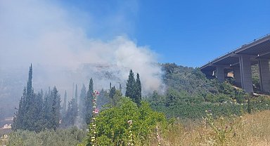 Bursa'da çam ormanı yanıyor