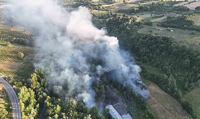 Bursa'da çöplükte çıkan yangın ormana sıçradı