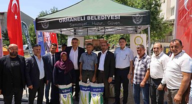 Bursa'da dağ ilçelerine silajlık mısır tohumu desteği