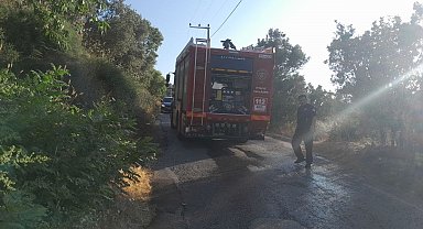 Bursa'da karga yangına neden oldu