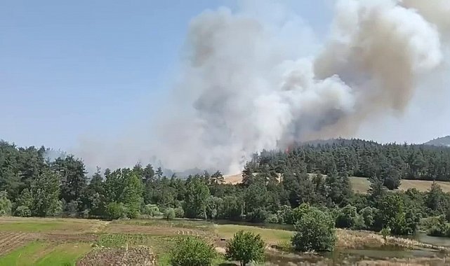 Bursa'da orman yangını: Taş ocakları mevkiindeki yangına karadan ve havadan müdahale