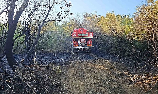 Bursa'da ormanlık alanda çıkan yangın kontrol altına alındı