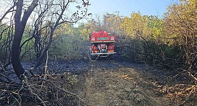 Bursa'da ormanlık alanda çıkan yangın kontrol altına alındı
