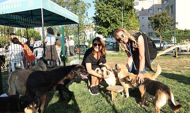 Bursa'da Sahiplendirme Şenliği