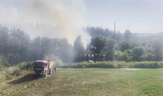 Bursa'daki orman yangını kontrol altına alındı