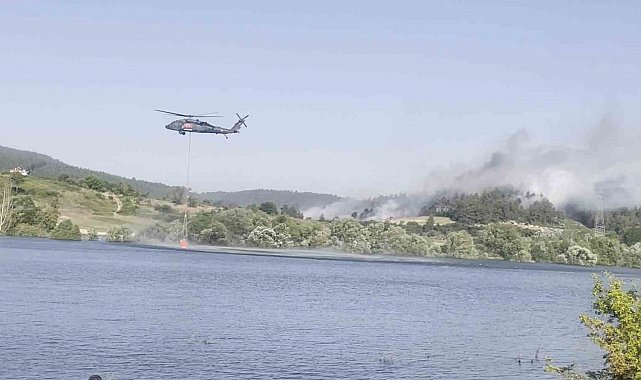 Bursa'daki orman yangınına havadan ve karadan müdahale devam ediyor
