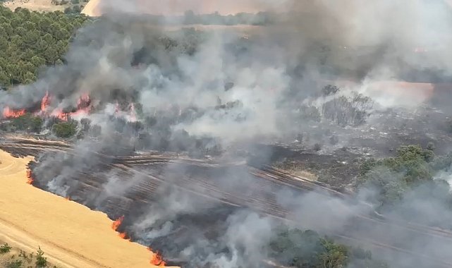 Bursa'daki yangın kontrol altına alındı