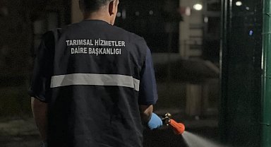 Büyükşehir'den ilaçlama atağı