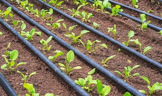 Büyükşehir'den kırsal kalkınmaya önemli destek