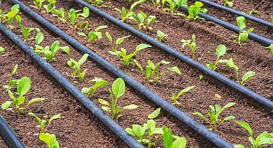 Büyükşehir'den kırsal kalkınmaya önemli destek