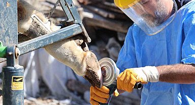 Büyükşehir'den tarım ve hayvancılığa can suyu