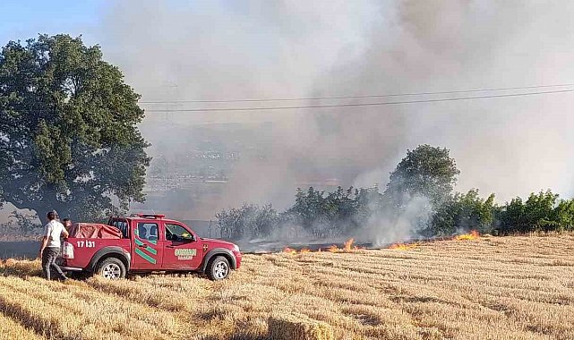 Çan'da anız yangını söndürüldü