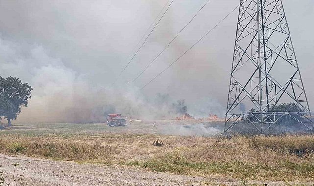 Çan'da tarım arazisinde çıkan yangın kontrol altına alındı