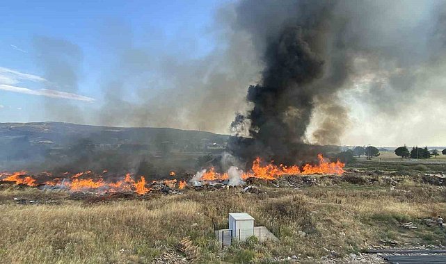 Çanakkale'de korkutan yangın