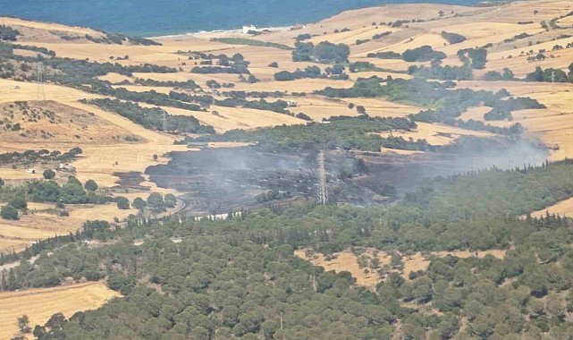 Çanakkale'de tarım arazisinde başlayıp ormana sıçrayan yangın kontrol altına alındı