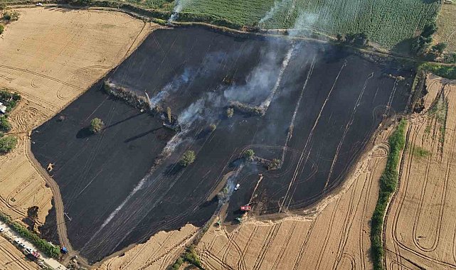 Çanakkale'de tarım arazisinde çıkan yangında 50 dönüm alan zarar gördü