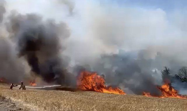 Çanakkale'de tarım arazisinde yangın çıktı