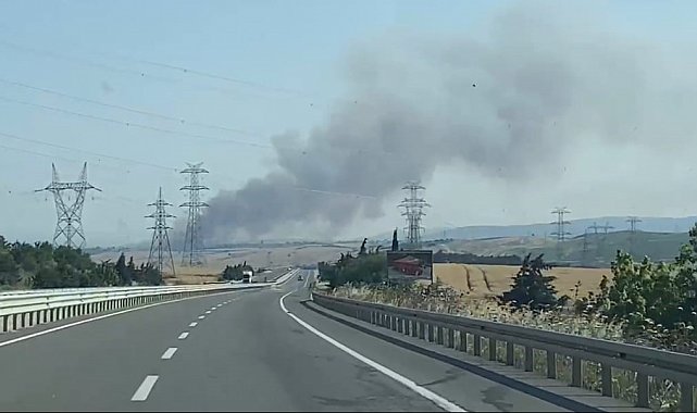 Çanakkale'de tarım arazisinde yangın