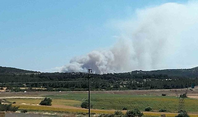 Çanakkale'de tarım arazisinde yangın
