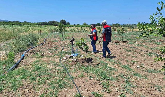 Çanakkale'de tarımsal sulama elektrik aboneliği olan tarım arazileri denetleniyor