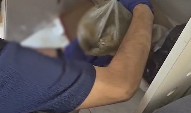 Çanakkale'de uyuşturucu operasyonunda ayakkabı kutusu içinde piyasa değeri 1 milyon TL olan bonzai ele geçirildi