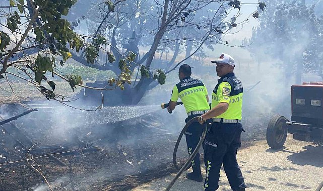 Çanakkale'deki orman yangınında köye ulaşan alevler karşısında jandarma ve köylüler seferber oldu
