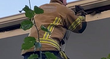 Çatıya sıkışan kuş itfaiye tarafından kurtarıldı