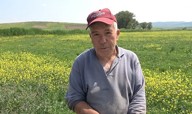 Çiftçiler, zararlı bitkiye karşı önlem almaya başladı