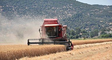 Çiftçilerden hayvan üreticilerine kritik uyarı: "Elinizi Çabuk Tutun"