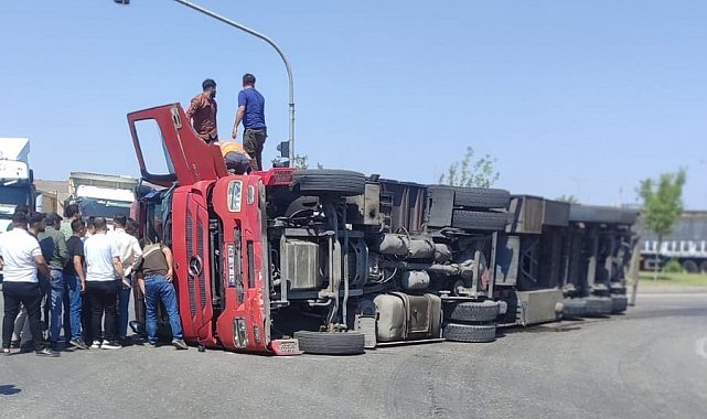 Cizre'de virajı alamayan tır devrildi, 1 yaralı