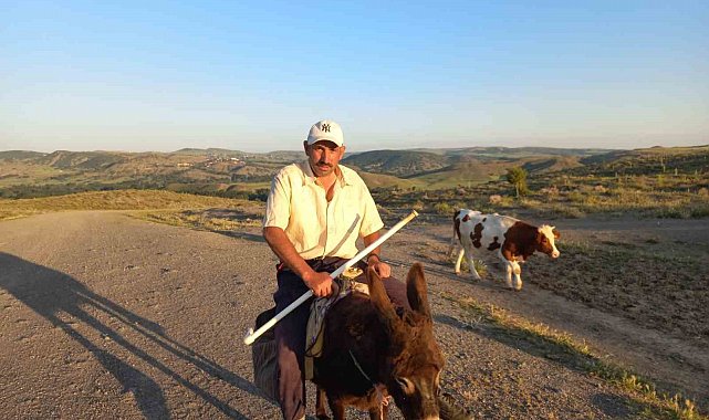 Çobanlık kıymete bindi