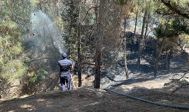 Çocukların çakmakla oyunu ormanı yaktı