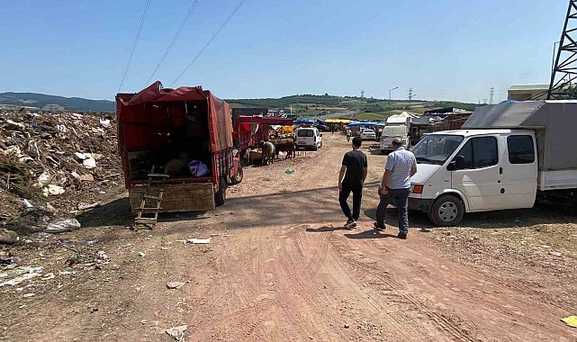Çöplükte kurbanlık satışı