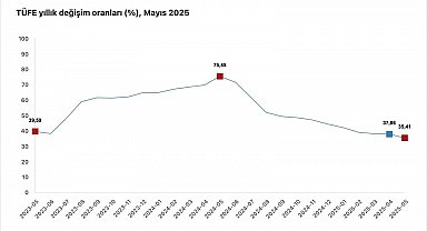 Cumhurbaşkanı Yardımcısı Yılmaz: "Yıllık mal enflasyonu yüzde 30'un altına gerileyerek yüzde 28,7 düzeyinde gerçekleşmiştir"