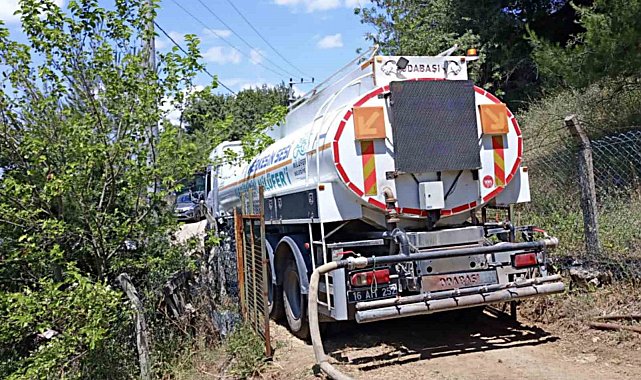 Dağyenice'de 25 dönüm küle döndü