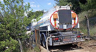 Dağyenice'de 25 dönüm küle döndü