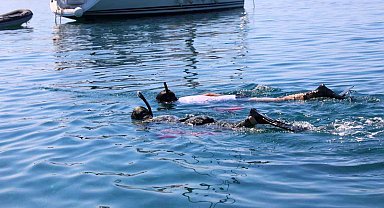 Deniz dibi temizliği sürüyor