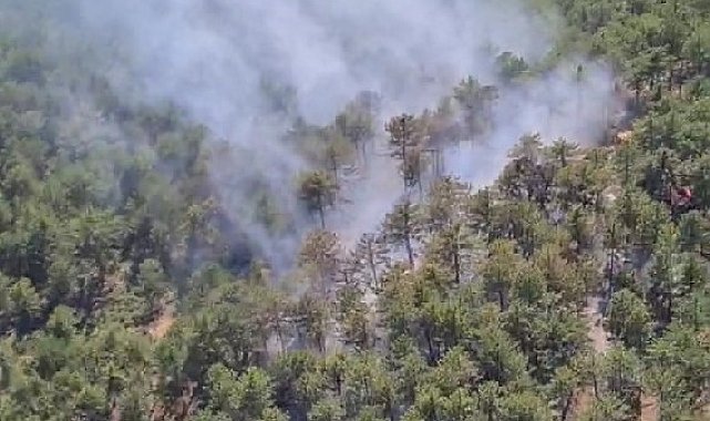 Denizli'de orman yangınına havadan ve karadan müdahale ediliyor