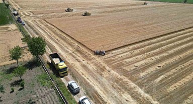 Denizli'de sarı altın hasadı havadan görüntülendi