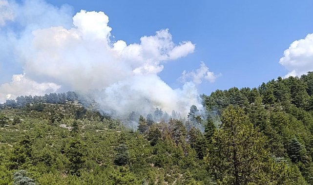 Denizli'de yıldırım düşmesi sonucu 2 ayrı noktada yangın çıktı